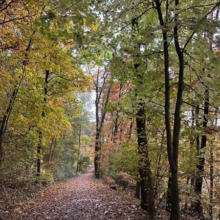 Modern With Feel-good Factor Appartamento